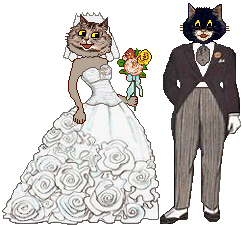 Cat Bride and Groom