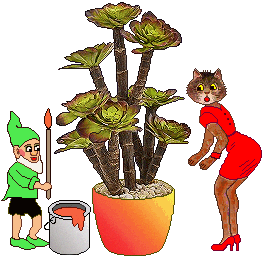 cat, elf, cactus