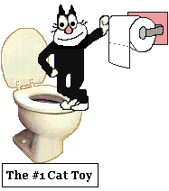 cat on toilet unrolls toilet paper