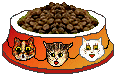 cat bowl food