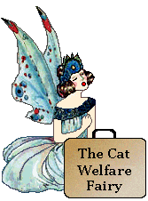 Cat Welfare Fairy