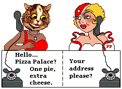 Cat orders pizza