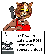 Cat calls FBI to report dog terrorist