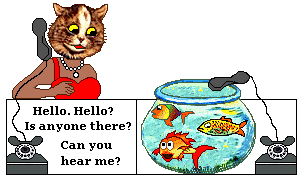 Cat makes call. Reaches fish in fish bowl
