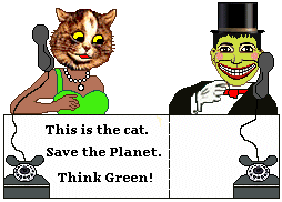 Cat calls strange man to tell him to think green