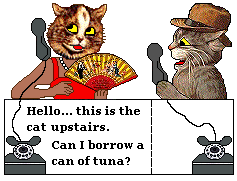 Cat calls cat upstairs to borrow tuna