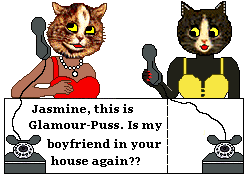Cat calls friend: Is my boyfriend in your house again?