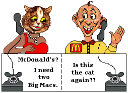 Cat cals McDonalds.Orders 2 Big Macs.