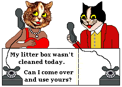 Cat calls boyfriend: Can I use your litter box?