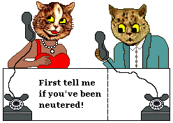 Cat asks cat if he has been neutered