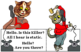 Cat calls Killer the cat and hears static