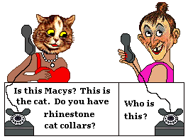 Cat calls Macy's. Asks for rhinestone collar