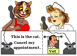 Cat calls vet to cancel appointment
