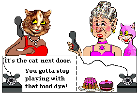Cat calls lady next door about the food dye she uses
