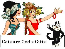 Cats are God's Gifts