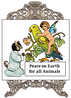 Cat sign: Peace on earth for all animals