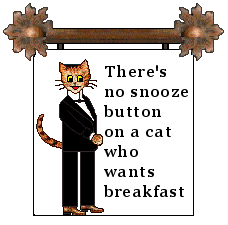 Cat sign: There's no snooze button...