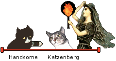 My cats at Rainbow Bridge