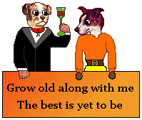 Valentine's Dogs: Grow old along with me