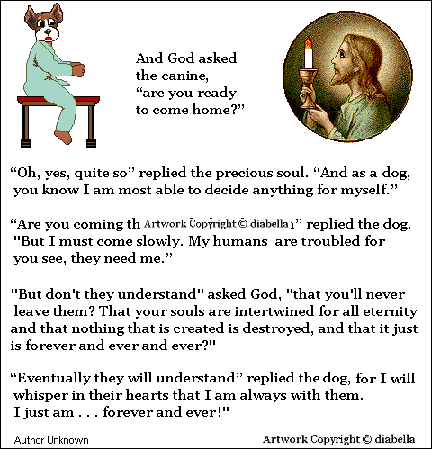 Dog talks to God