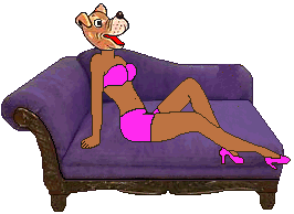 Dog in bikini on antique sofa