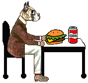 dog eats hamburger