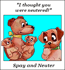 Dog: I thought you were neutered!