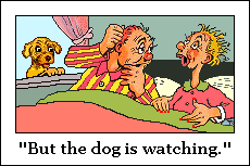 dog watches humans