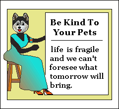 Be kind to your pets