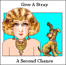 Give A Stray A Second Chance