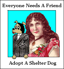 Adopt a shelter dog.