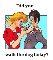 Did you walk the dog today?
