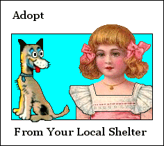 Adopt from your local shelter 