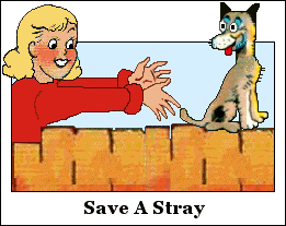 Save A Stray