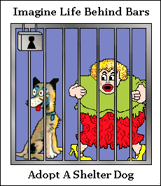 Imagine life behind bars