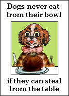 Dogs never eat from their bowl