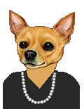 Dog - Dressed Female Chihuahua