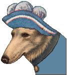 dressed female Greyhound