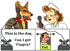 dog on phone with vet
