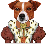 dressed Jack Russell Terrier female