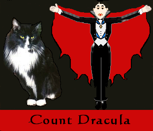 Dracula the cat and Dracula the Vampire
