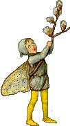 Pussy Willow Fairie