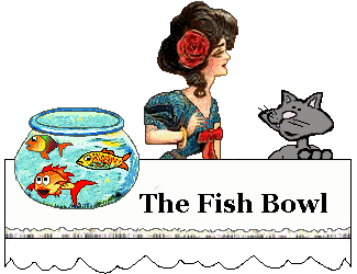 Banner: Cat and Fish bowl
