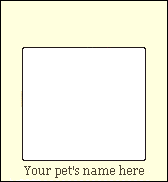 your pet's name