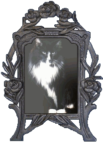 Frame with photo of Dracula