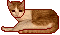 Cat-Ginger