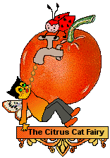 Citrus Cat Fairy