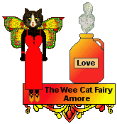 Cat Fairy