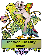 Avian Cat Fairy