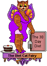 Diet Cat Fairy